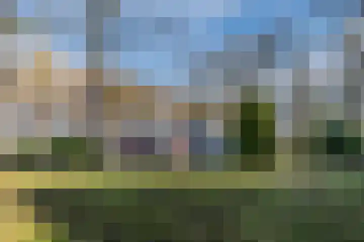 Meerboomweg 115 in Hollandscheveld