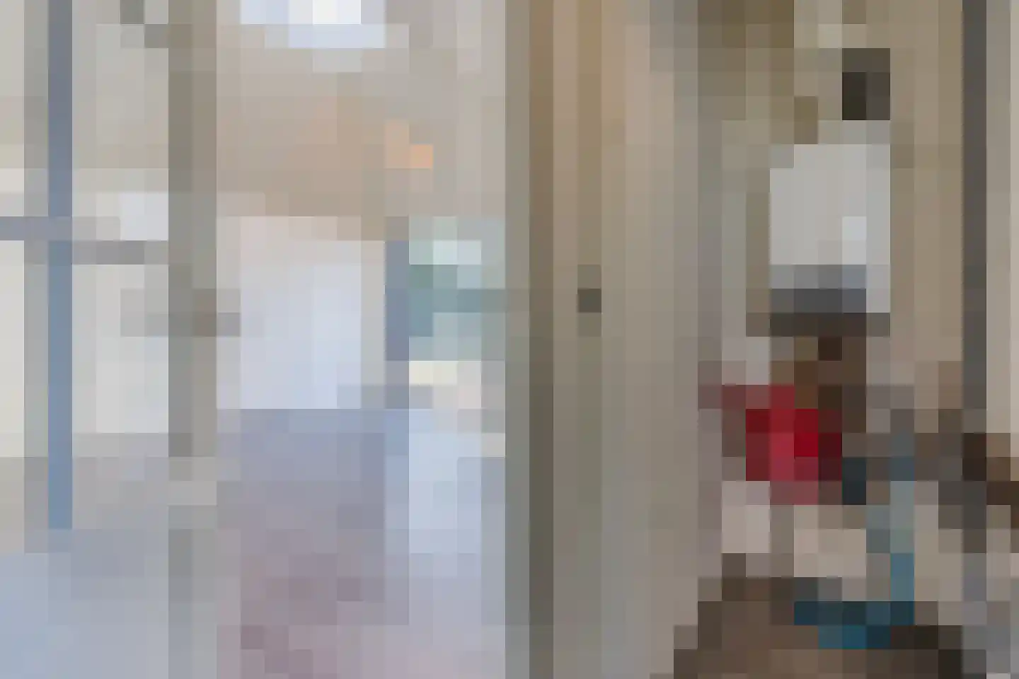 Meerboomweg 115 Hollandscheveld thumbnail 12
