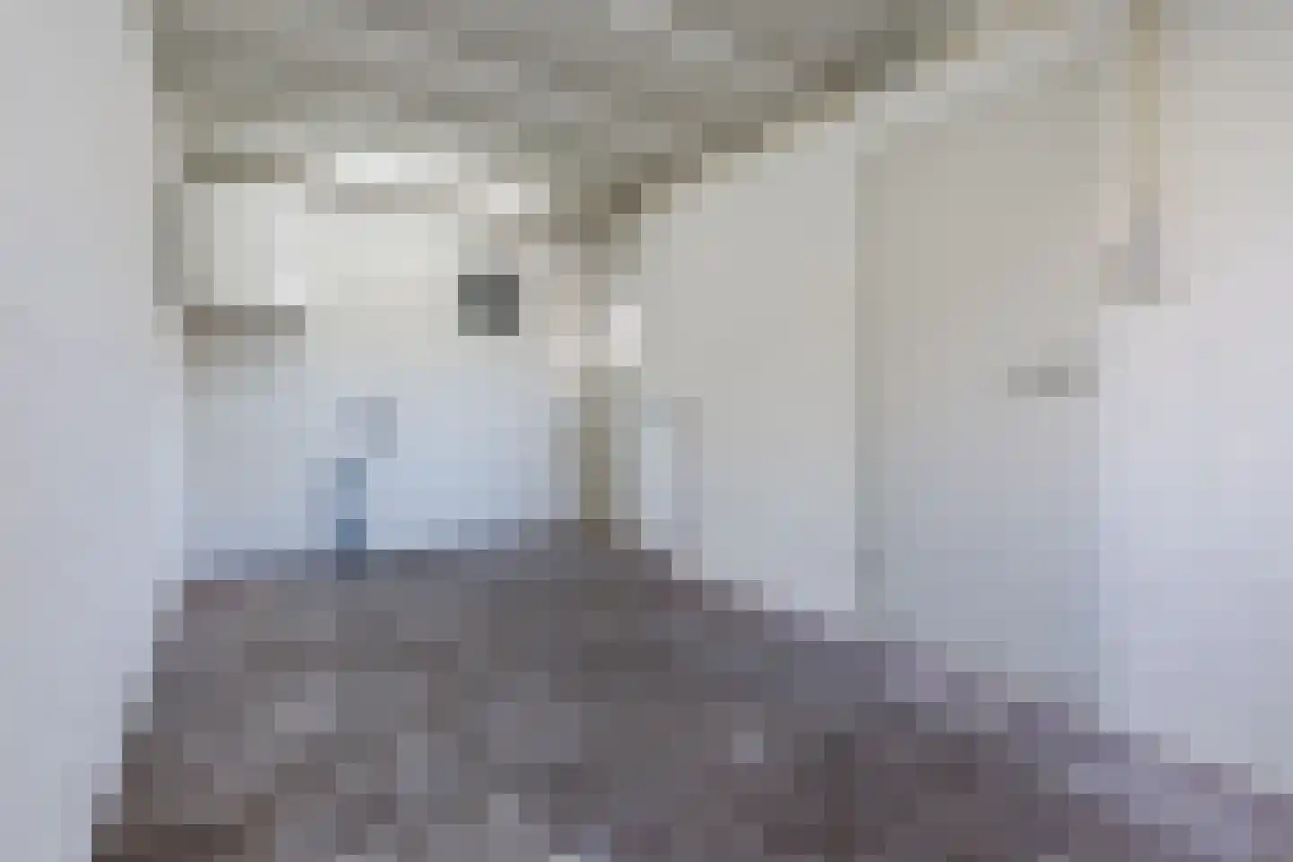 Meerboomweg 115 Hollandscheveld thumbnail 21
