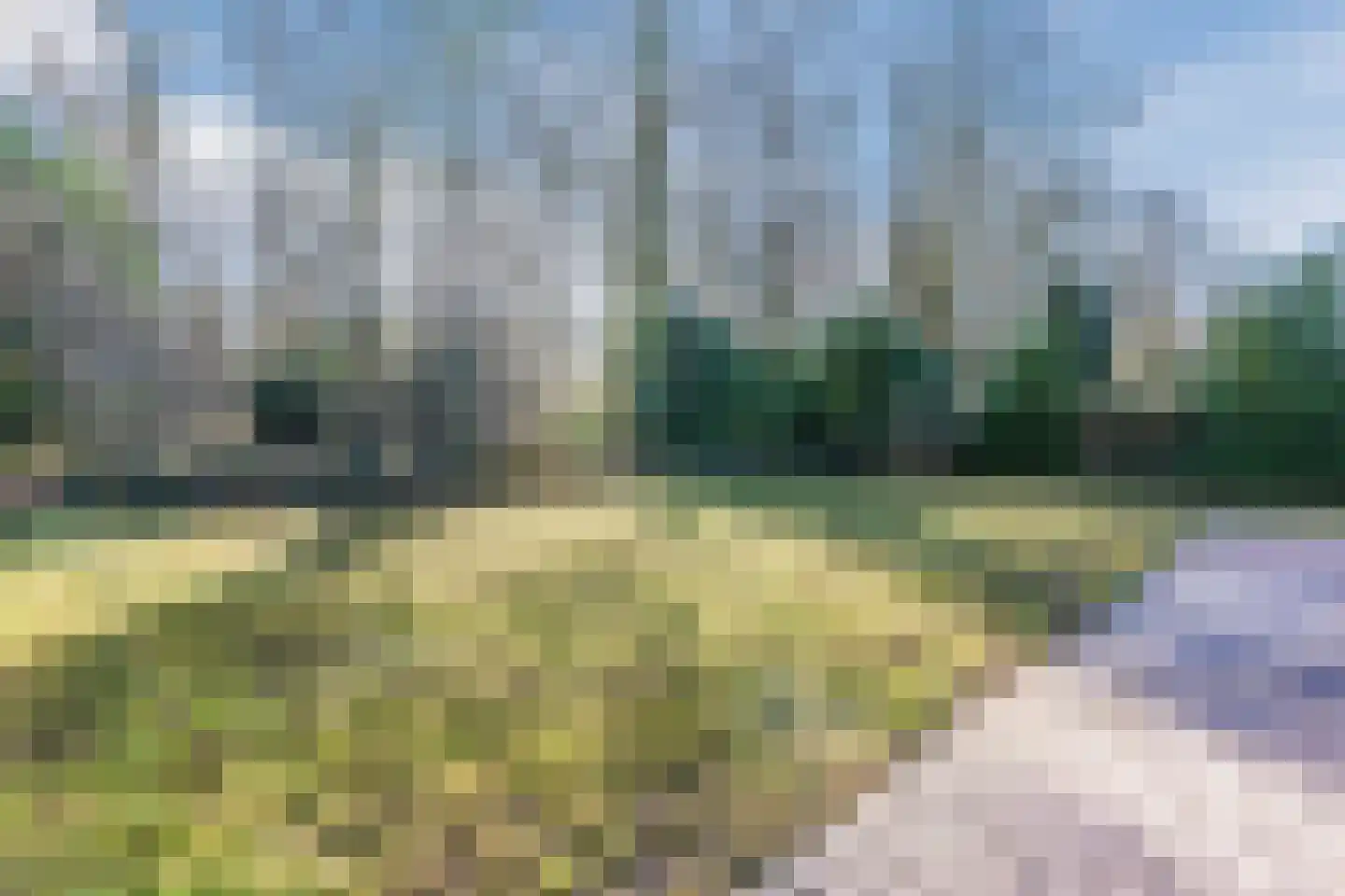 Meerboomweg 115 Hollandscheveld thumbnail 26