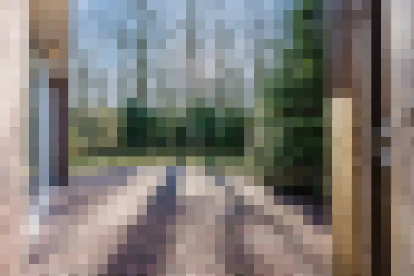 Meerboomweg 115 Hollandscheveld thumbnail 27
