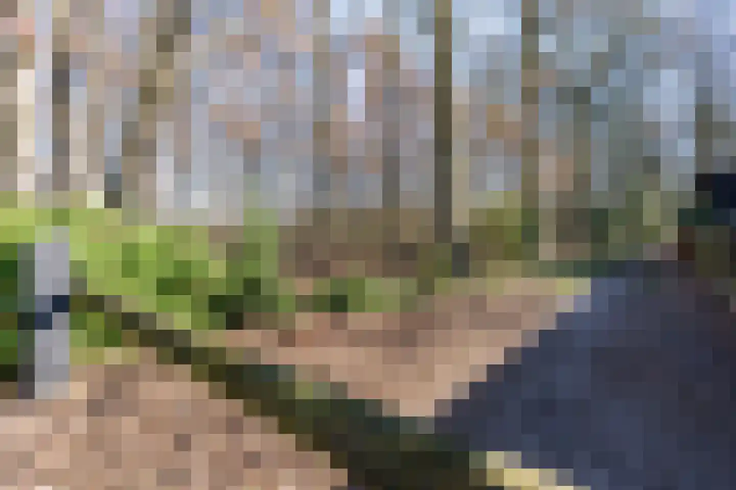 Meerboomweg 115 Hollandscheveld thumbnail 28