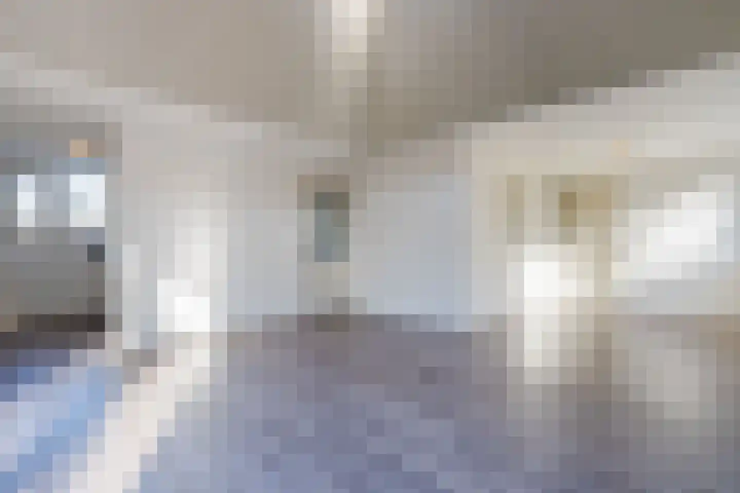 Meerboomweg 115 Hollandscheveld thumbnail 9