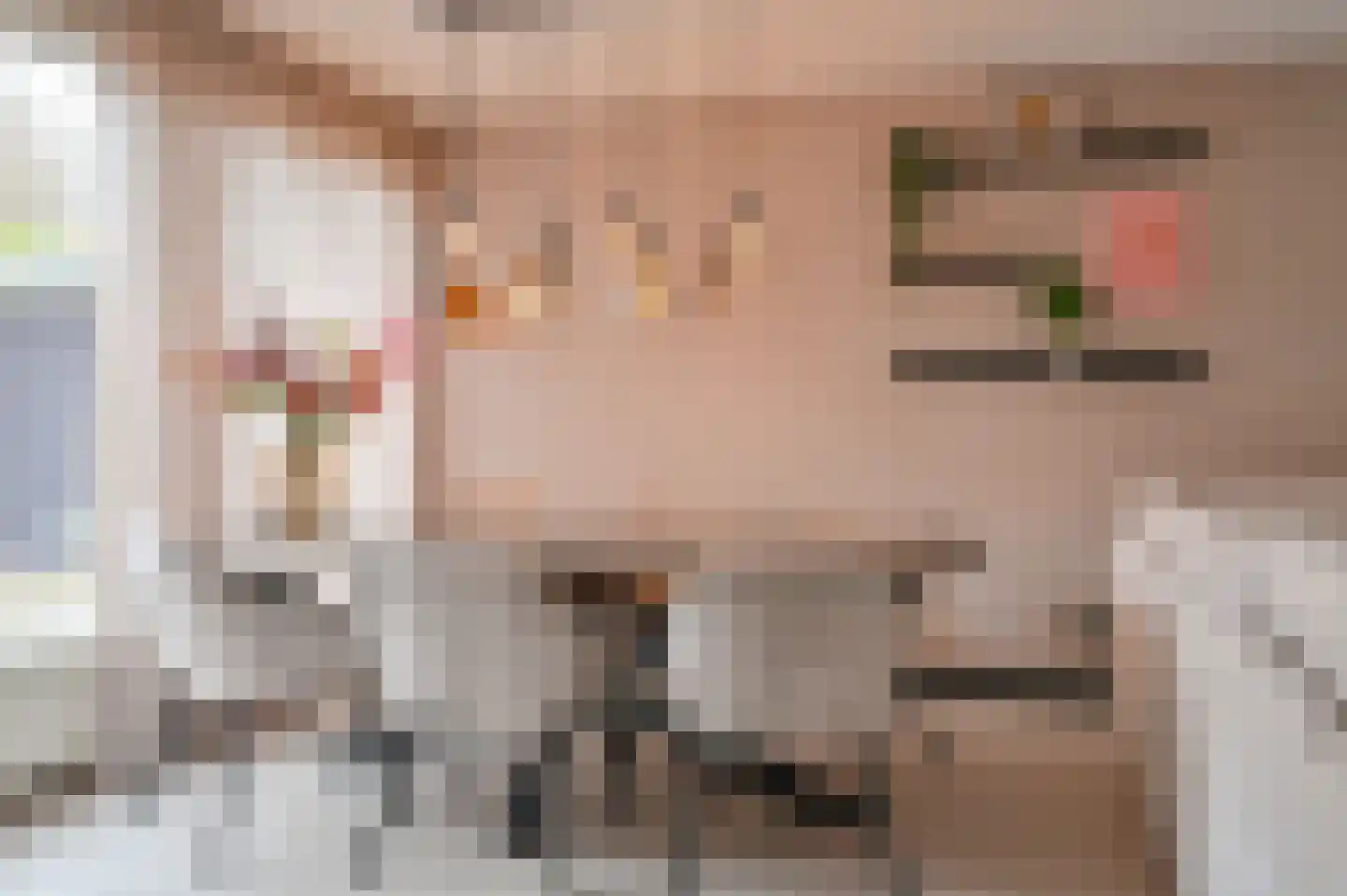Meerboomweg 139 Hollandscheveld thumbnail 14