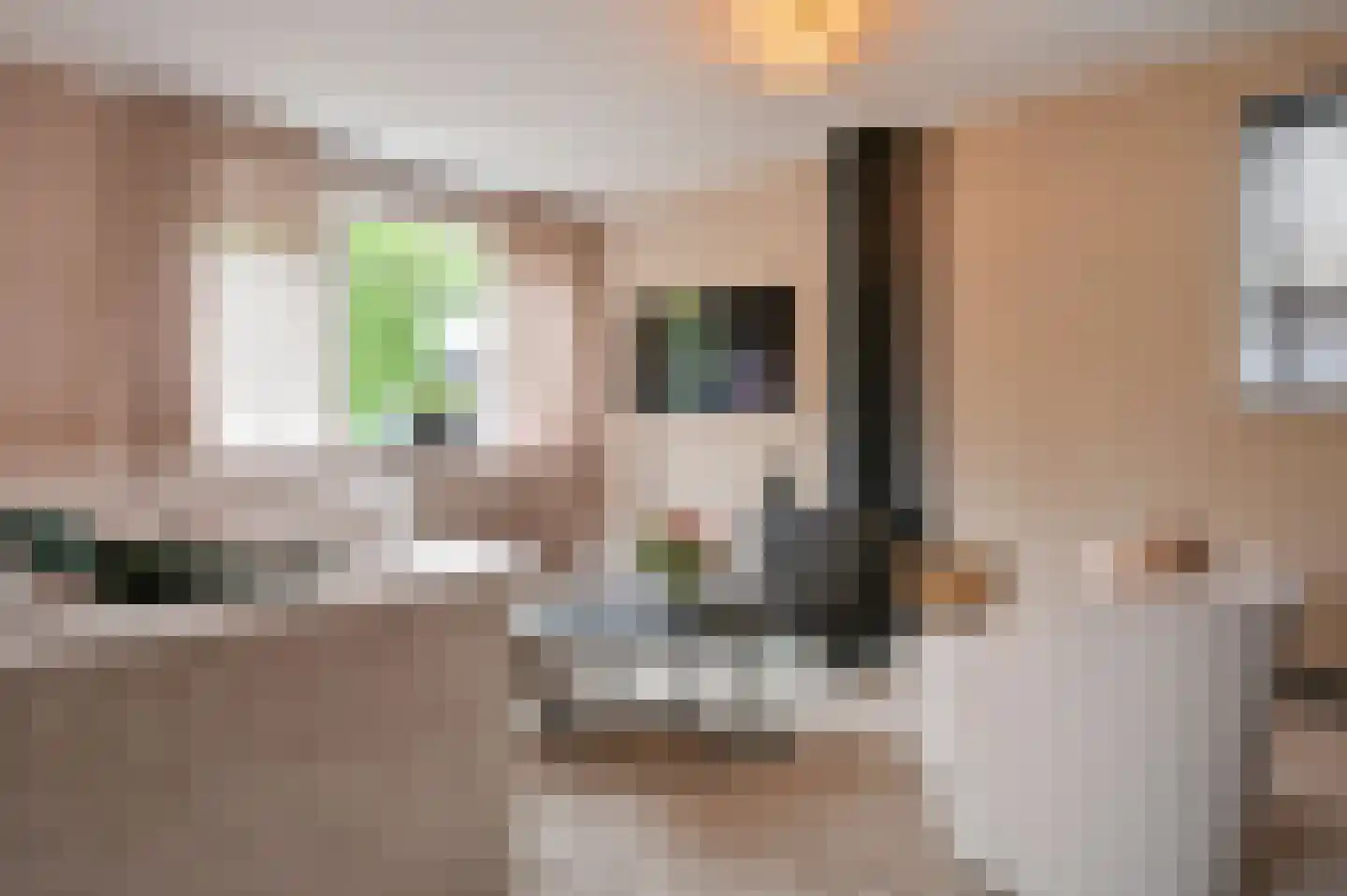 Meerboomweg 139 Hollandscheveld thumbnail 17