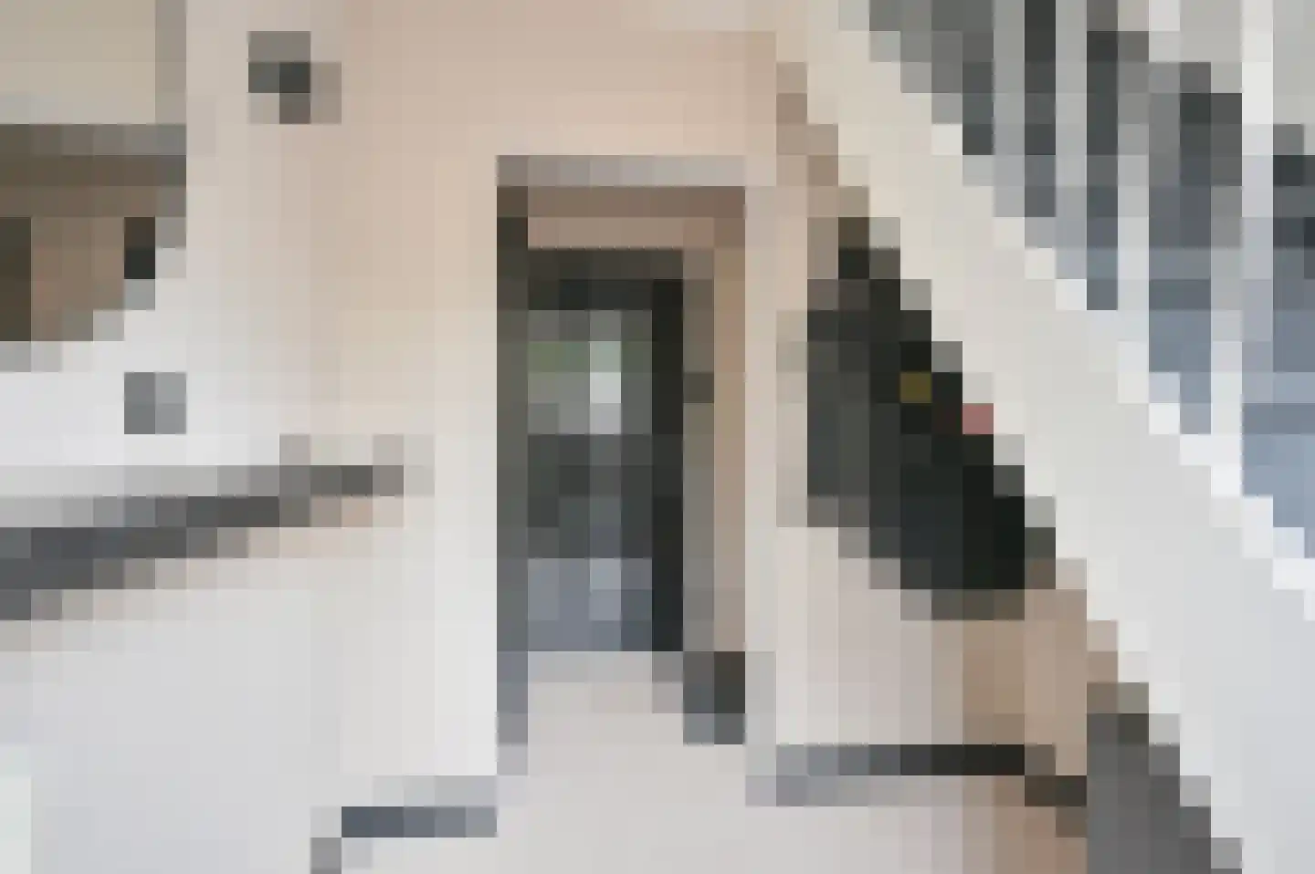 Meerboomweg 139 Hollandscheveld thumbnail 4