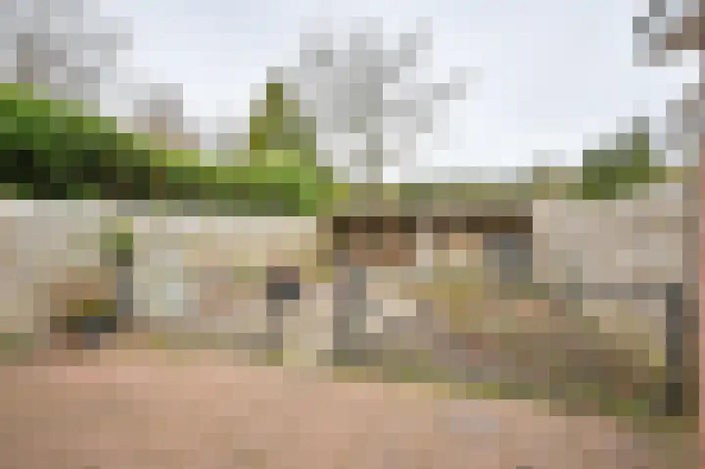 Meerboomweg 139 Hollandscheveld thumbnail 44