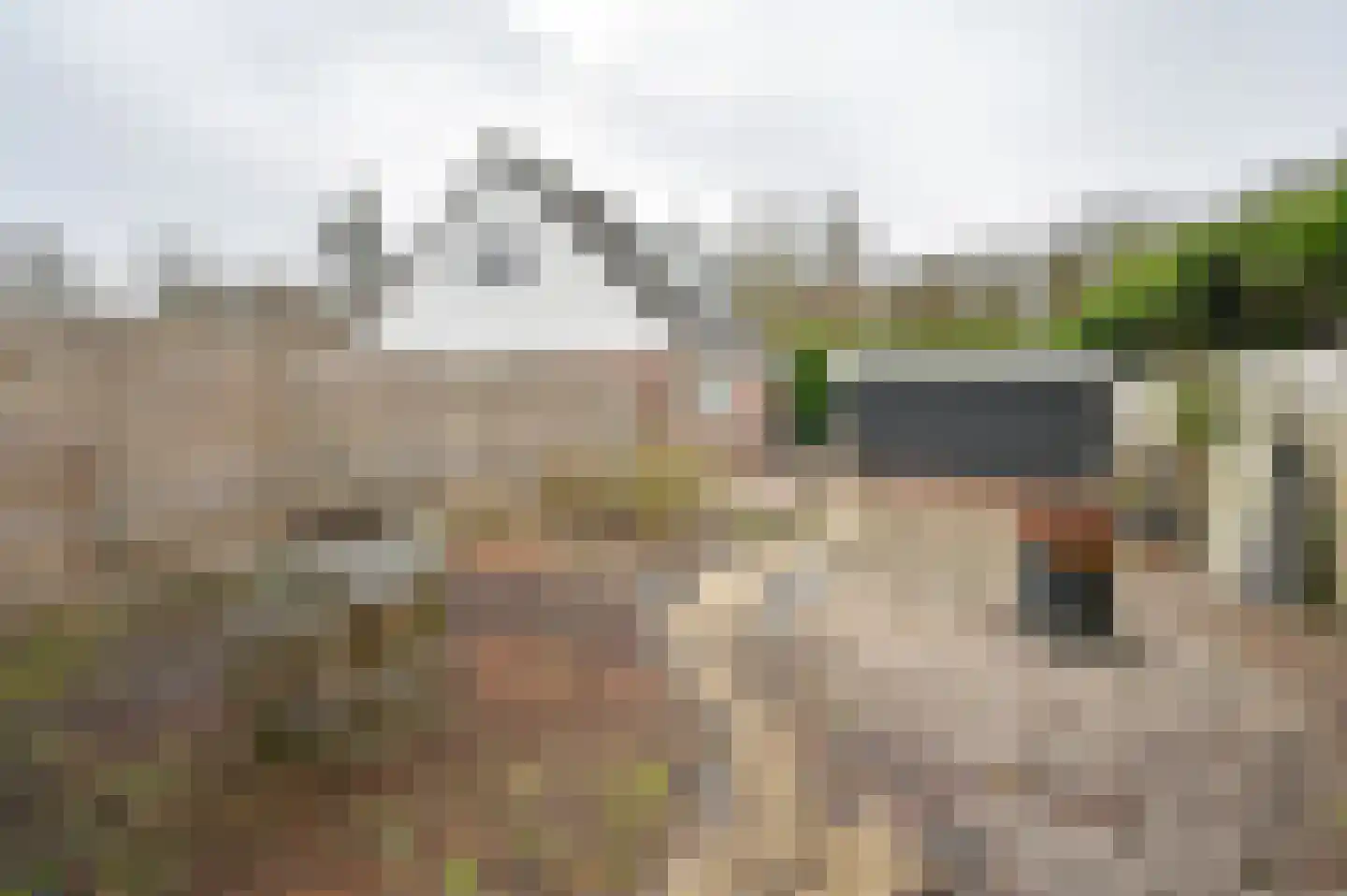 Meerboomweg 139 Hollandscheveld thumbnail 45