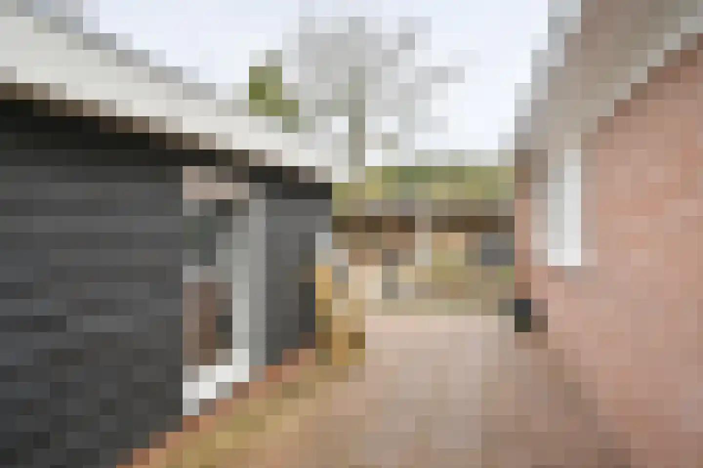 Meerboomweg 139 Hollandscheveld thumbnail 49