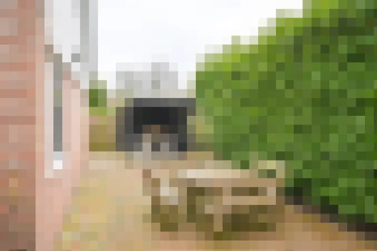 Meerboomweg 139 Hollandscheveld thumbnail 50