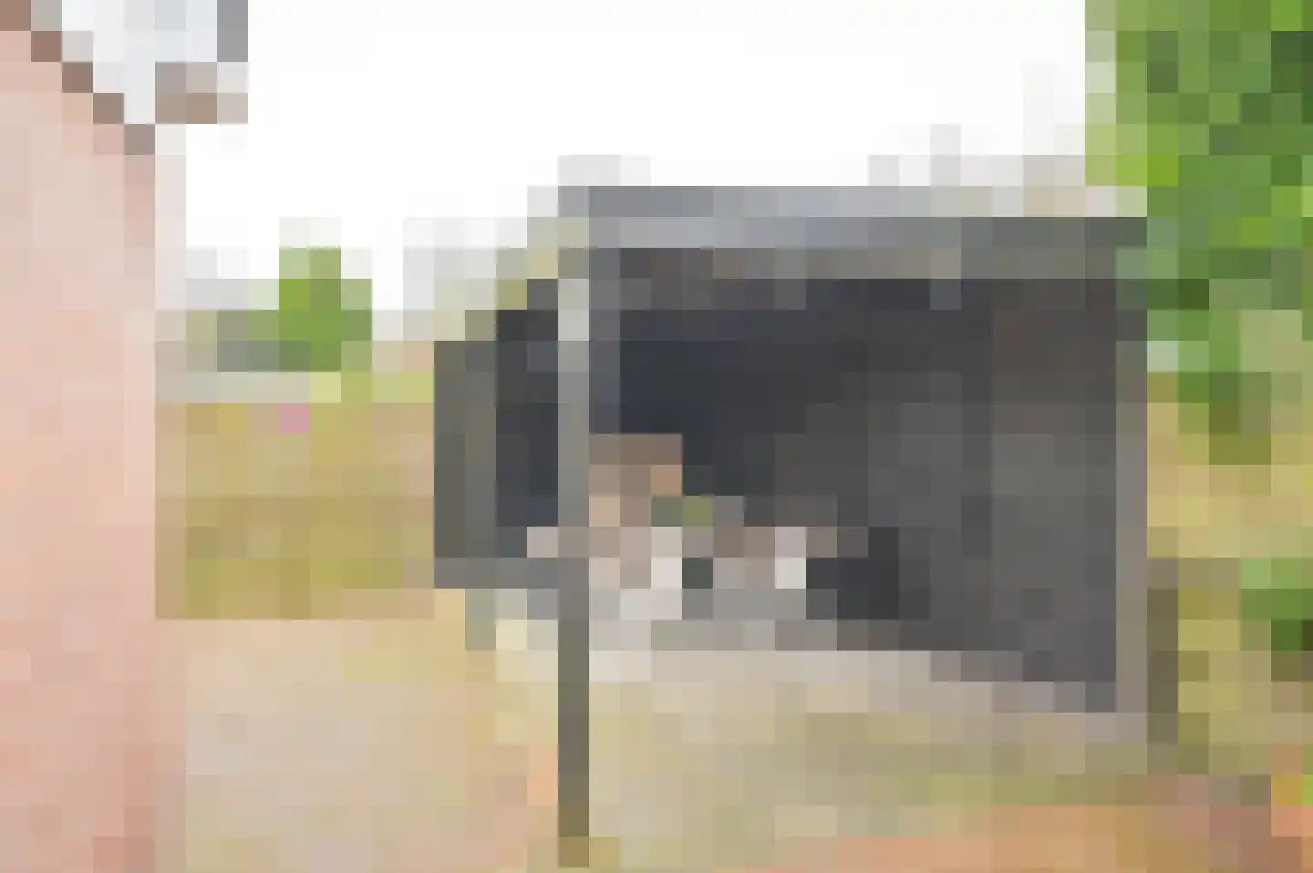 Meerboomweg 139 Hollandscheveld thumbnail 52