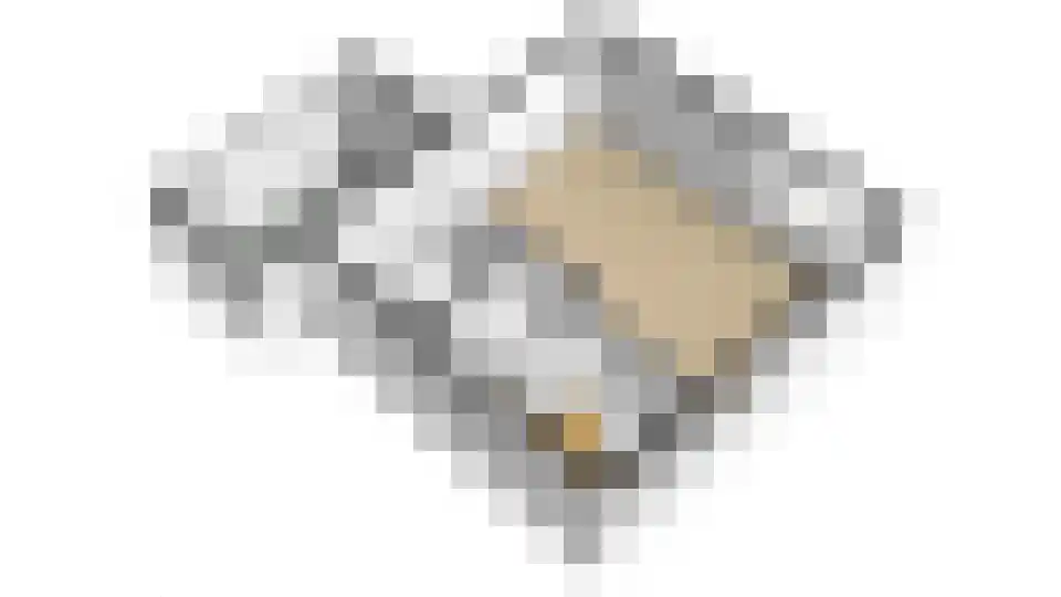Meerboomweg 139 Hollandscheveld thumbnail 57