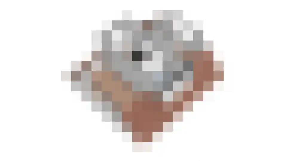 Meerboomweg 139 Hollandscheveld thumbnail 59