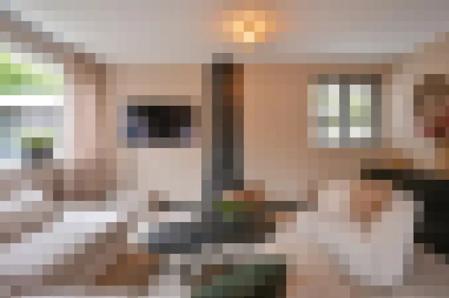 Meerboomweg 139 Hollandscheveld thumbnail 8