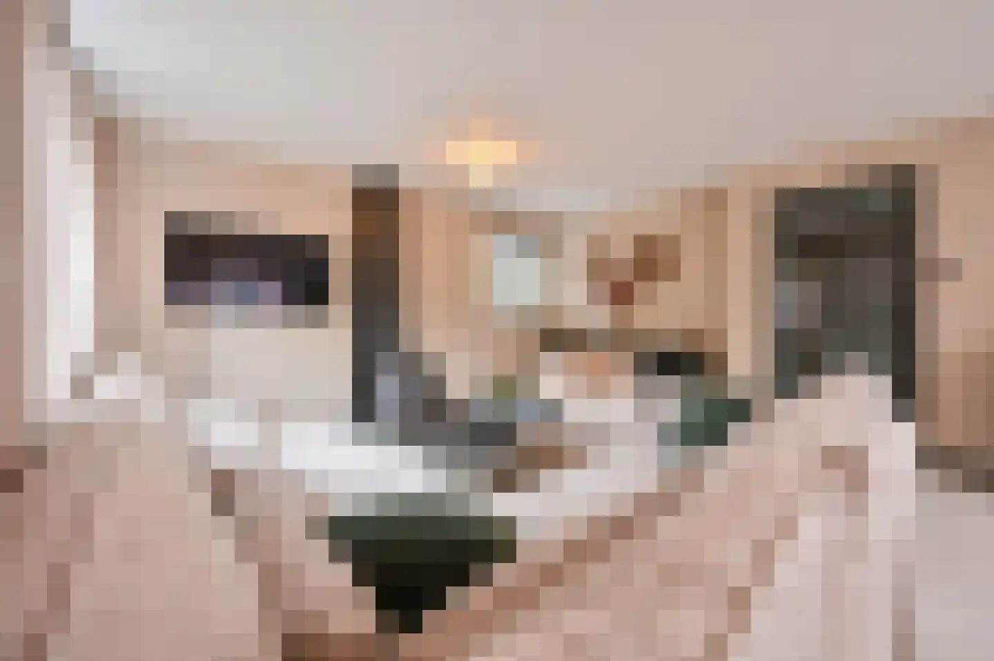 Meerboomweg 139 Hollandscheveld thumbnail 9