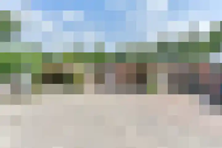 Meerboomweg 141 in Hollandscheveld