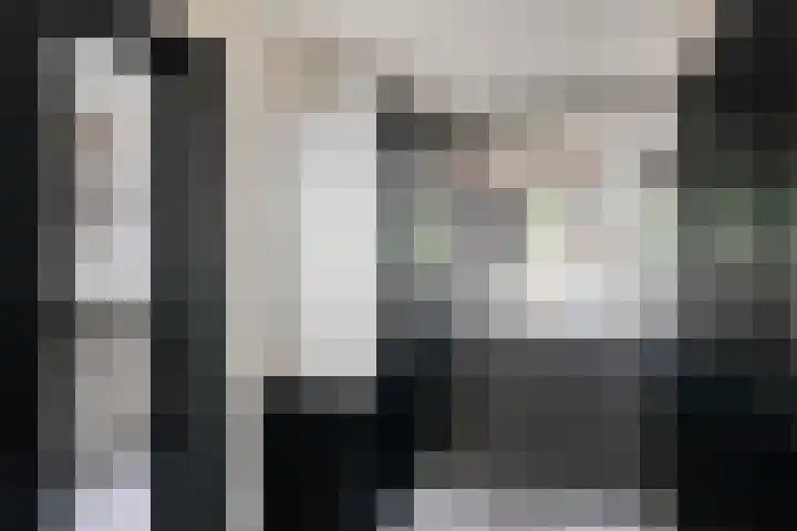 Meerboomweg 167 Hollandscheveld thumbnail 14