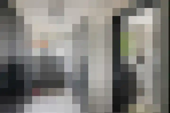 Meerboomweg 167 Hollandscheveld thumbnail 15