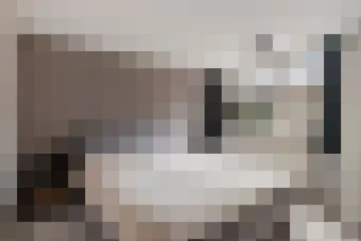Meerboomweg 167 Hollandscheveld thumbnail 16