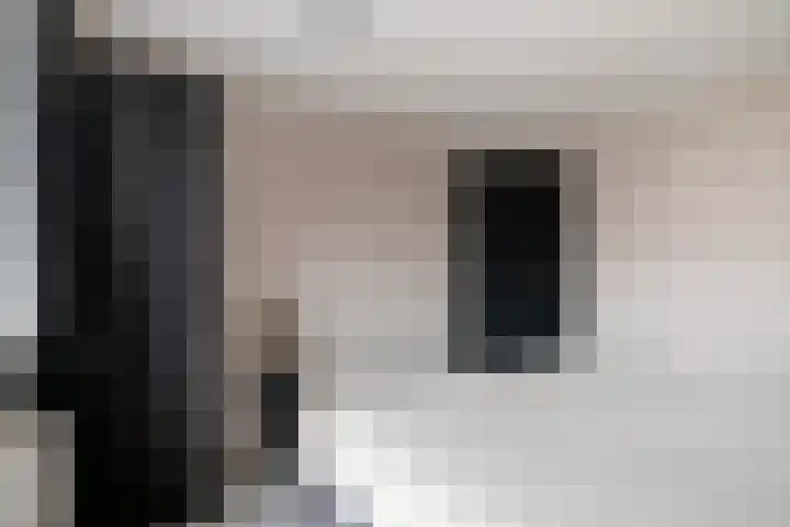 Meerboomweg 167 Hollandscheveld thumbnail 17