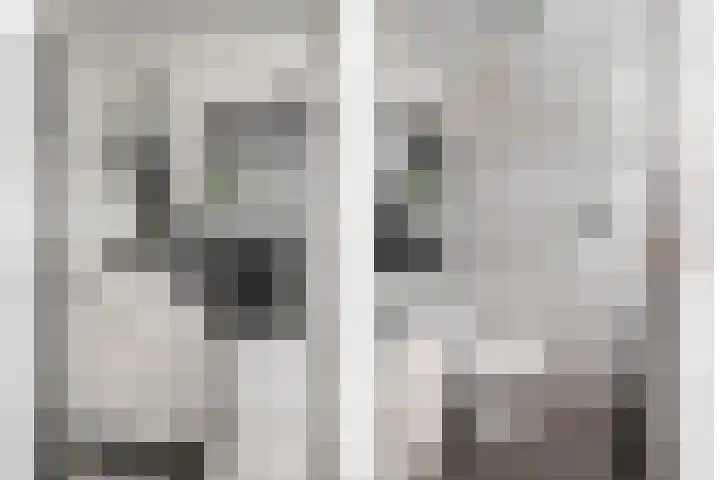 Meerboomweg 167 Hollandscheveld thumbnail 18