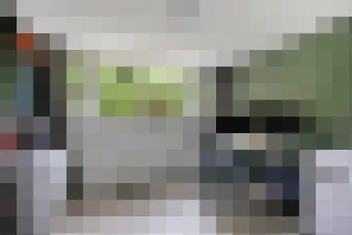 Meerboomweg 167 Hollandscheveld thumbnail 19