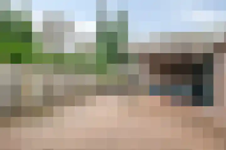 Meerboomweg 167 Hollandscheveld thumbnail 21