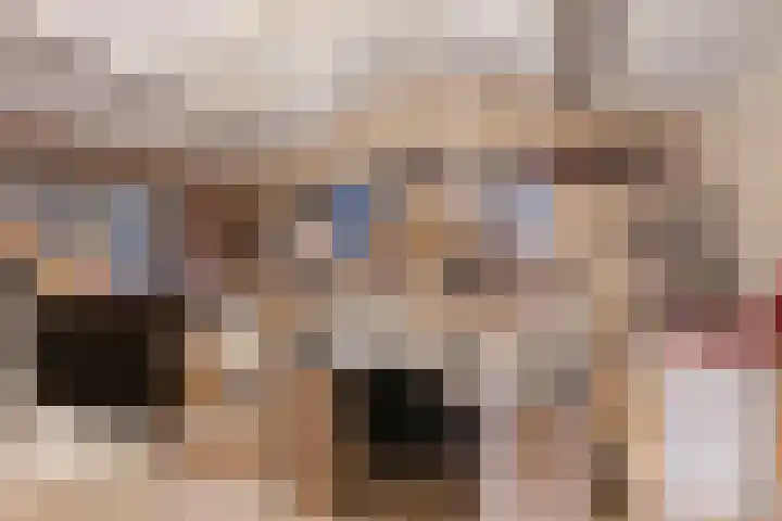 Meerboomweg 167 Hollandscheveld thumbnail 23