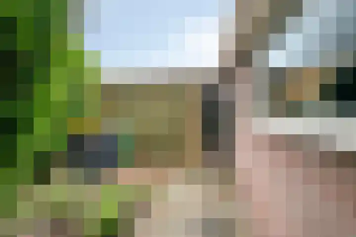 Meerboomweg 167 Hollandscheveld thumbnail 24