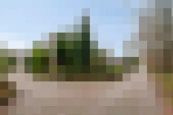 Meerboomweg 167 Hollandscheveld thumbnail 27