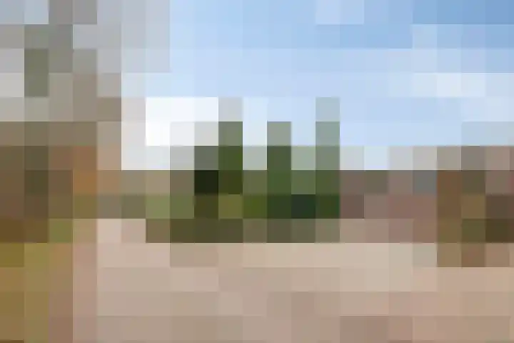 Meerboomweg 167 Hollandscheveld thumbnail 28