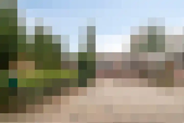 Meerboomweg 167 Hollandscheveld thumbnail 29