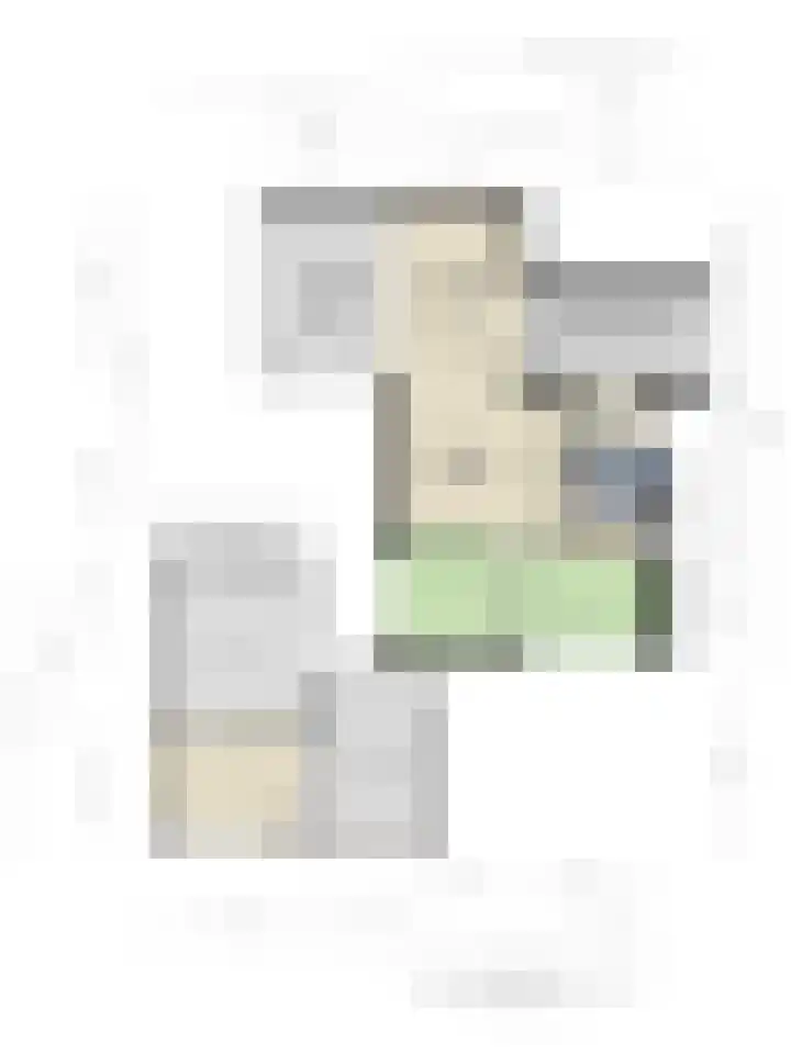 Meerboomweg 167 Hollandscheveld thumbnail 30