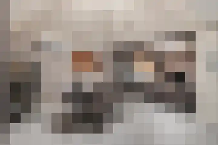 Meerboomweg 167 Hollandscheveld thumbnail 5