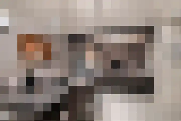Meerboomweg 167 Hollandscheveld thumbnail 6