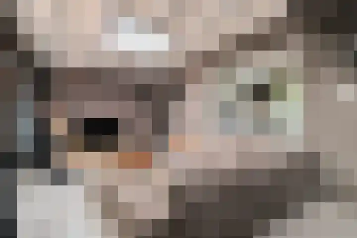 Meerboomweg 167 Hollandscheveld thumbnail 7
