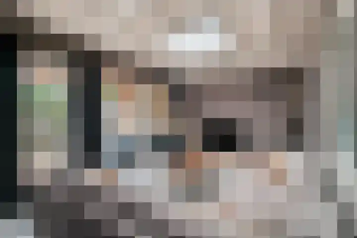 Meerboomweg 167 Hollandscheveld thumbnail 8