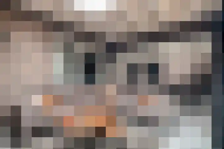 Meerboomweg 167 Hollandscheveld thumbnail 9