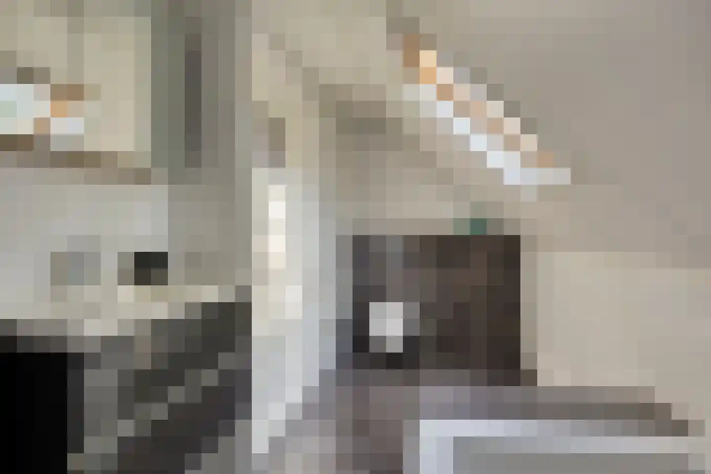 Meerboomweg 177 Hollandscheveld thumbnail 21