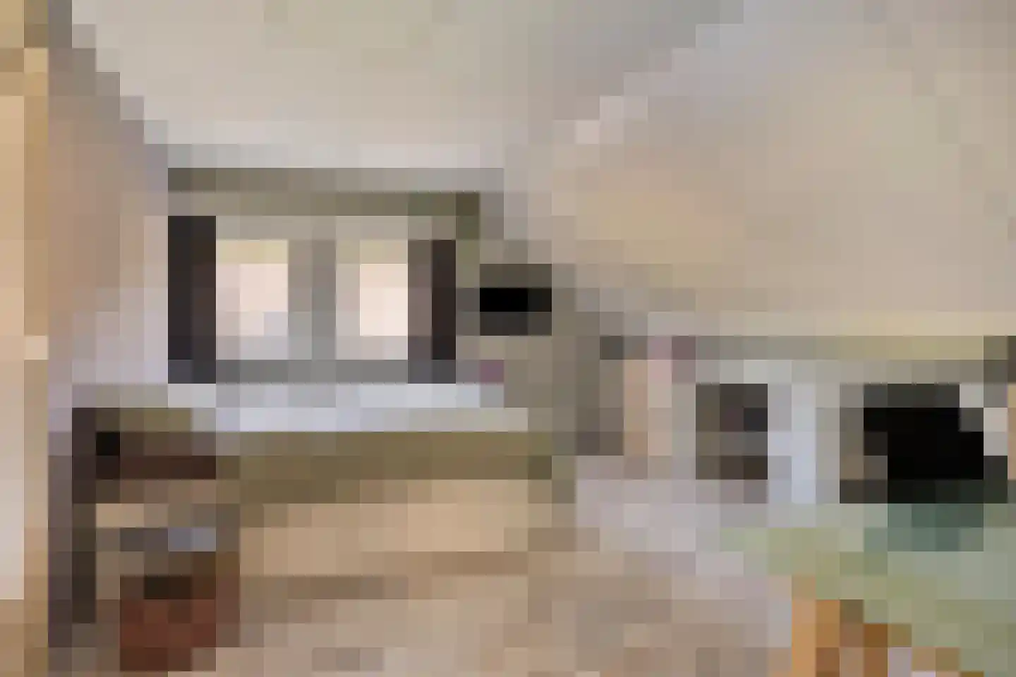 Meerboomweg 177 Hollandscheveld thumbnail 24