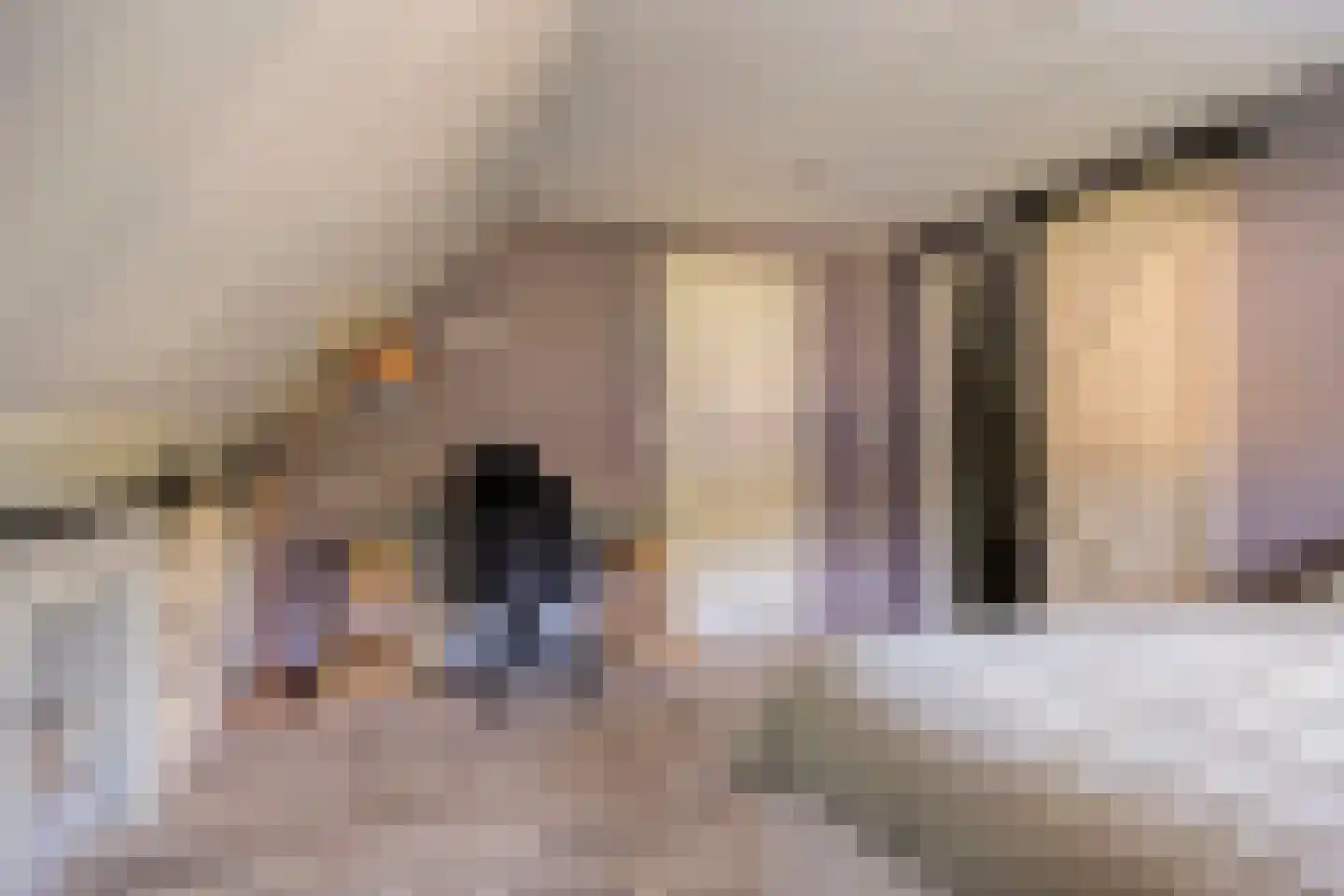 Meerboomweg 177 Hollandscheveld thumbnail 25
