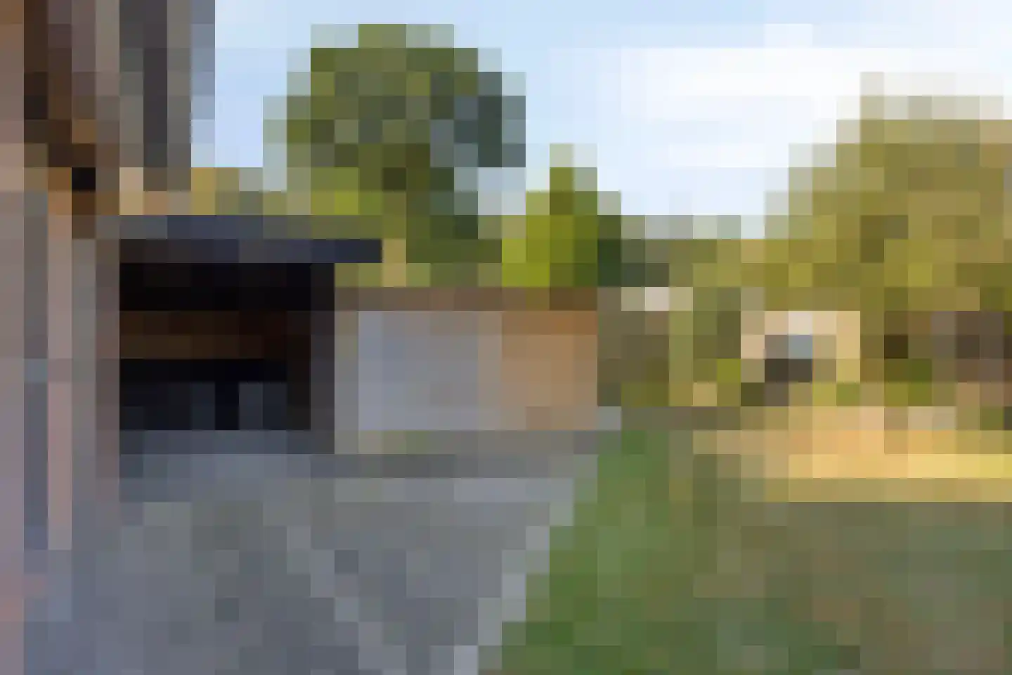 Meerboomweg 177 Hollandscheveld thumbnail 29