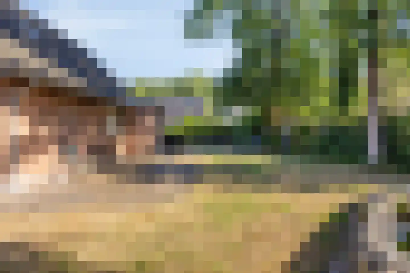Meerboomweg 177 Hollandscheveld thumbnail 32