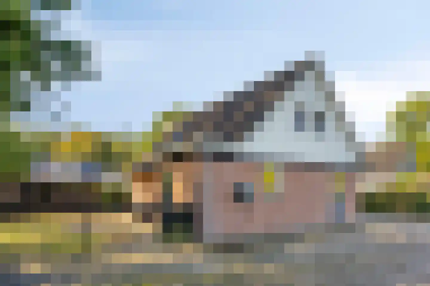 Meerboomweg 177 Hollandscheveld thumbnail 34