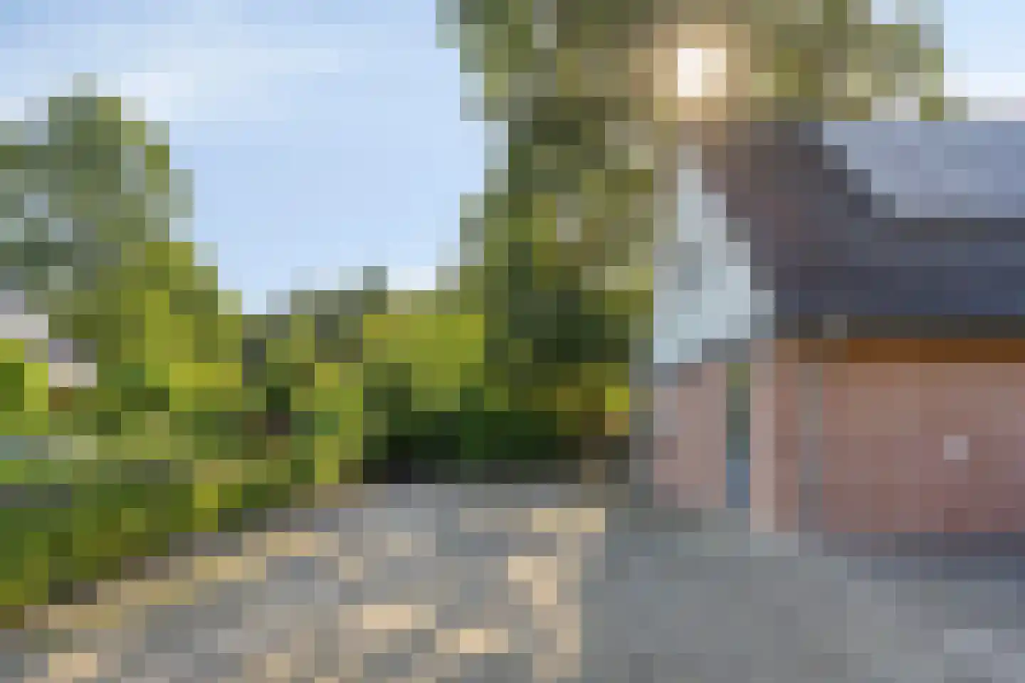 Meerboomweg 177 Hollandscheveld thumbnail 35