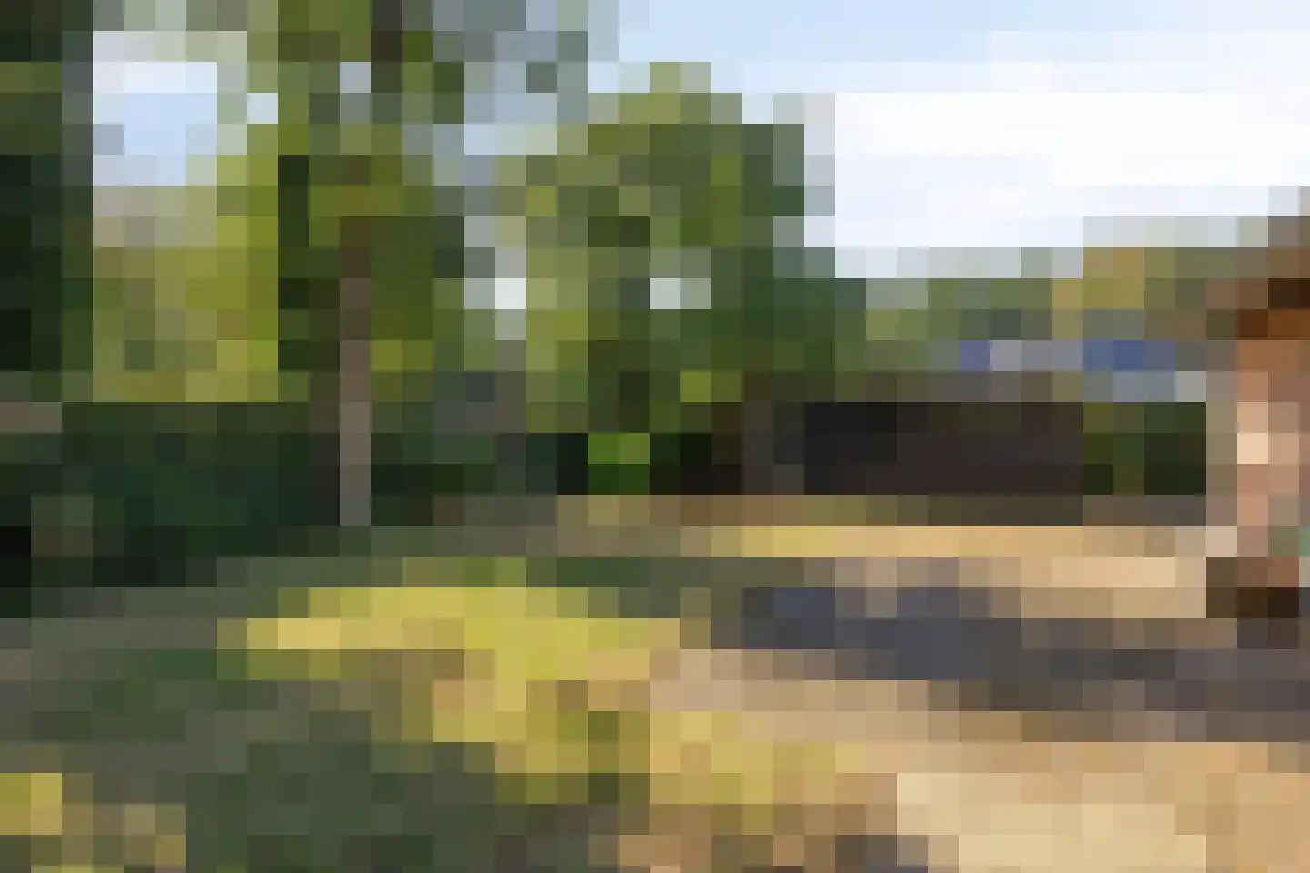 Meerboomweg 177 Hollandscheveld thumbnail 4
