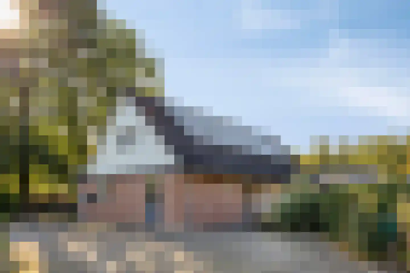Meerboomweg 177 Hollandscheveld thumbnail 5