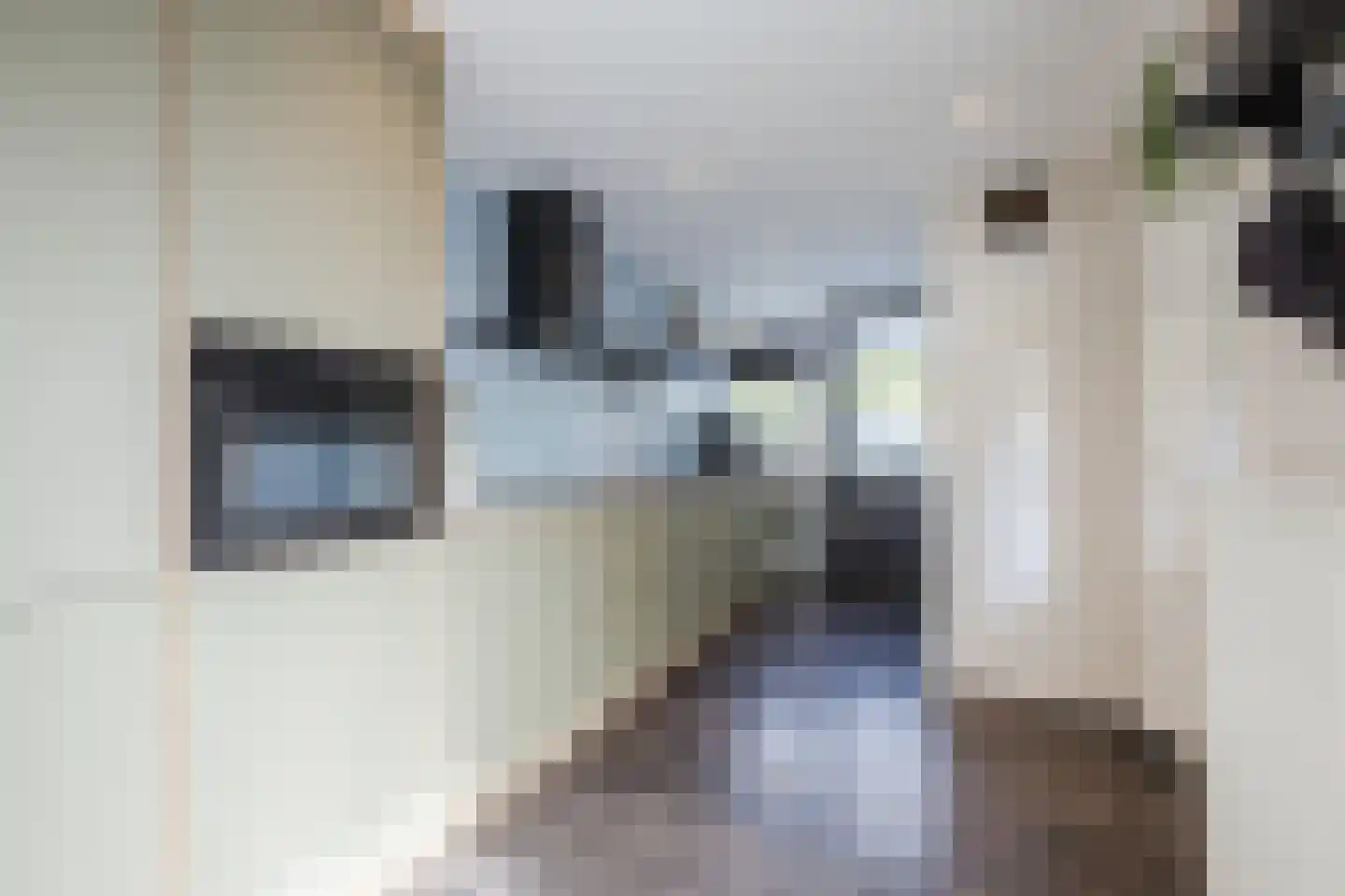 Meerboomweg 181 Hollandscheveld thumbnail 11