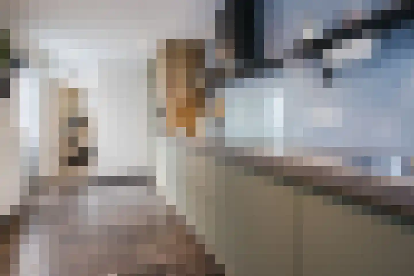 Meerboomweg 181 Hollandscheveld thumbnail 12