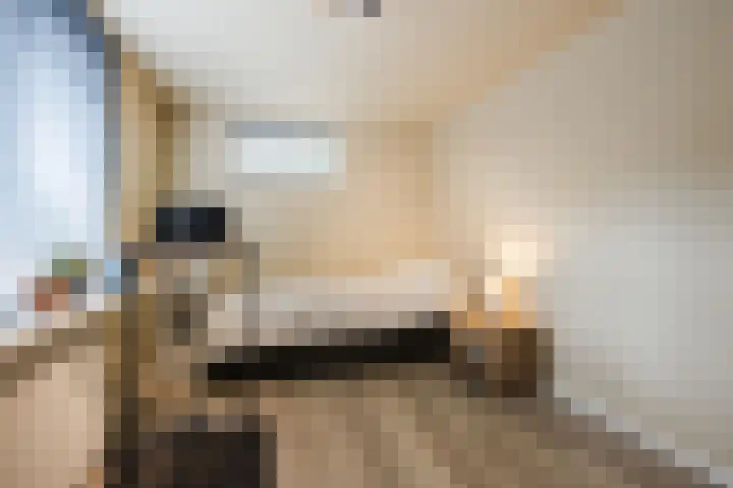 Meerboomweg 181 Hollandscheveld thumbnail 16